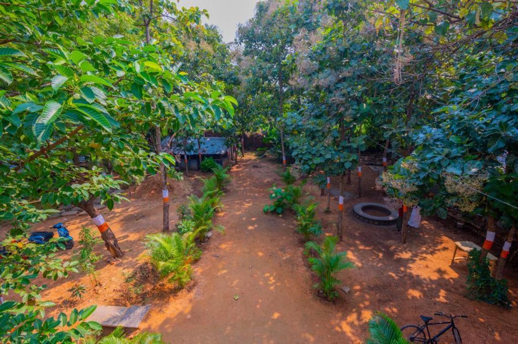 Saptami Hampi Homestay Extérieur photo